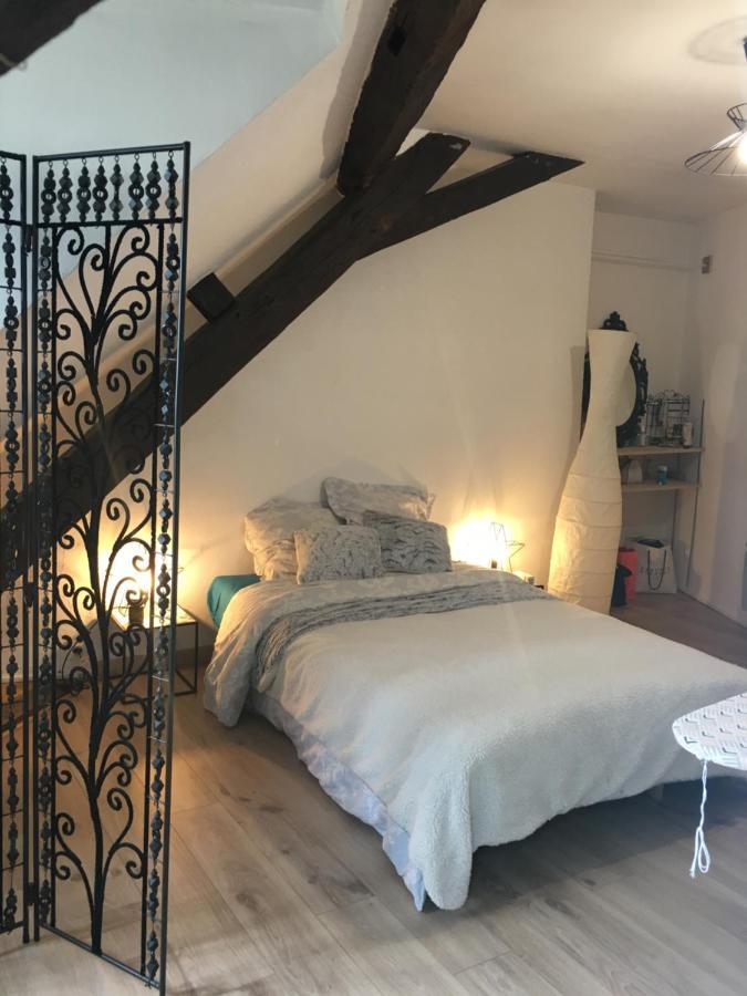Plantagenet -Le Vieux Mans - Hyper Centre Apartment Льо Ман Екстериор снимка