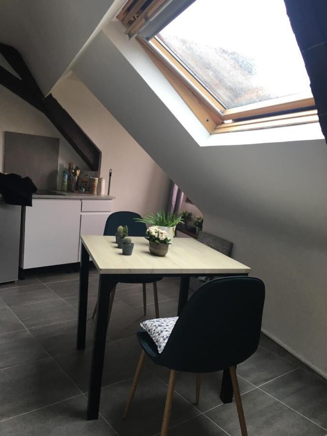 Plantagenet -Le Vieux Mans - Hyper Centre Apartment Льо Ман Екстериор снимка